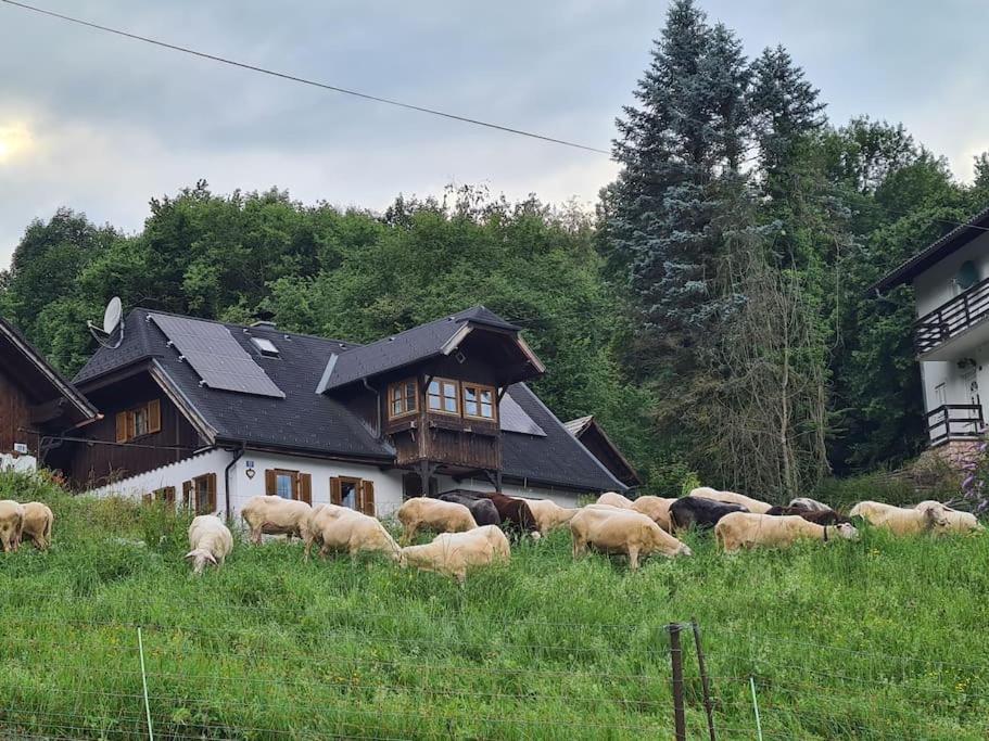Ferienhaus Beringer Am Kallbach Traunkirchen Eksteriør bilde